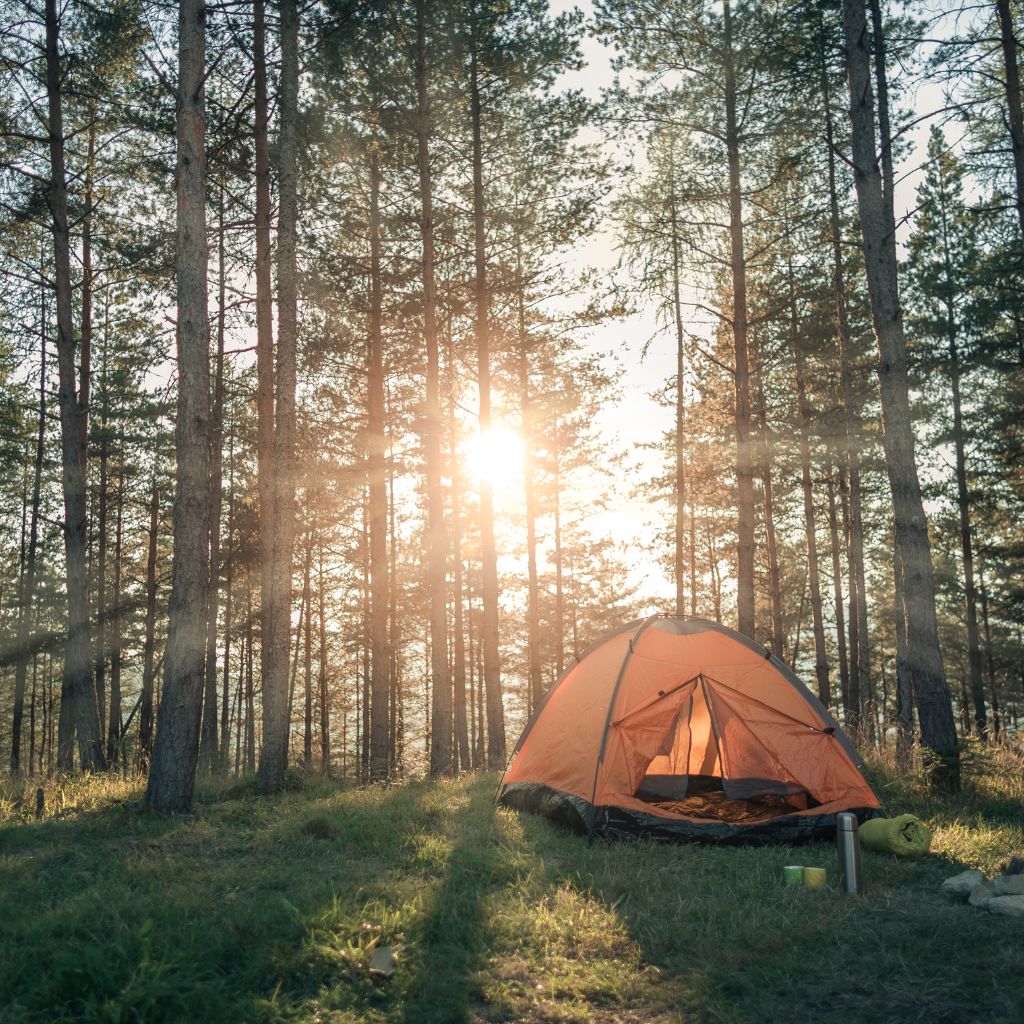 How to choose a camping fan? – Stormborn